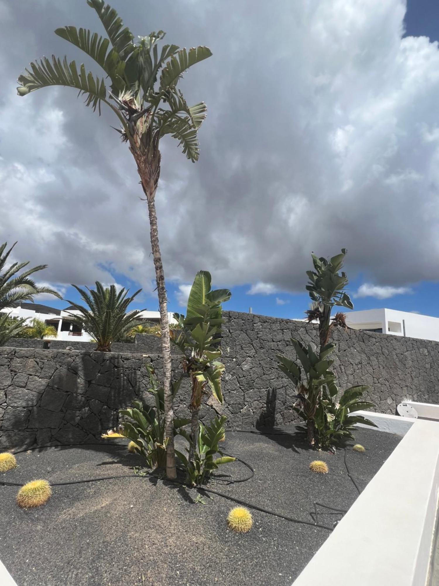 Villa Dedalos - A Luxury Large Villa With A Heated Pool In Пуерто Калеро Екстериор снимка